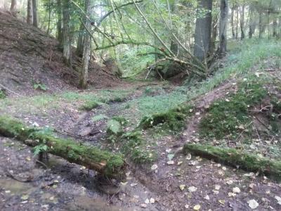 Unterer Bereich des Bachlaufs