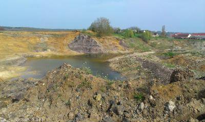 Obere Meeresmolasse unter Wasser