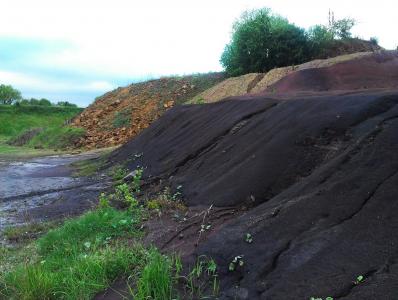 Im Hintergrund Halde mit Sinemurium Sandstein