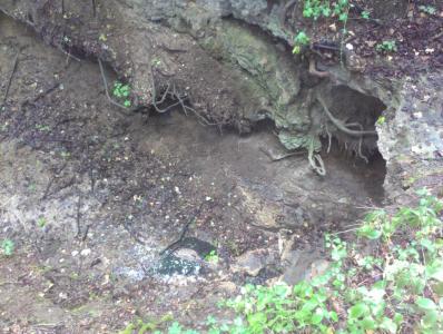 Wasserfallstufe unt. Pliensbachium
