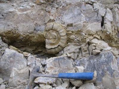 Zerklüfteter Malm Gamma 1