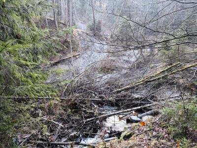 Hangrutsch im Grenzbereich Oligozän - Miozän