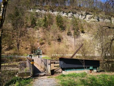 Schaumkalkbänke