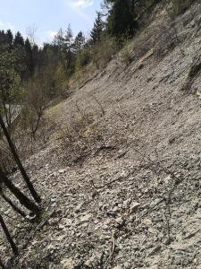 Steilhang mit Verbauung